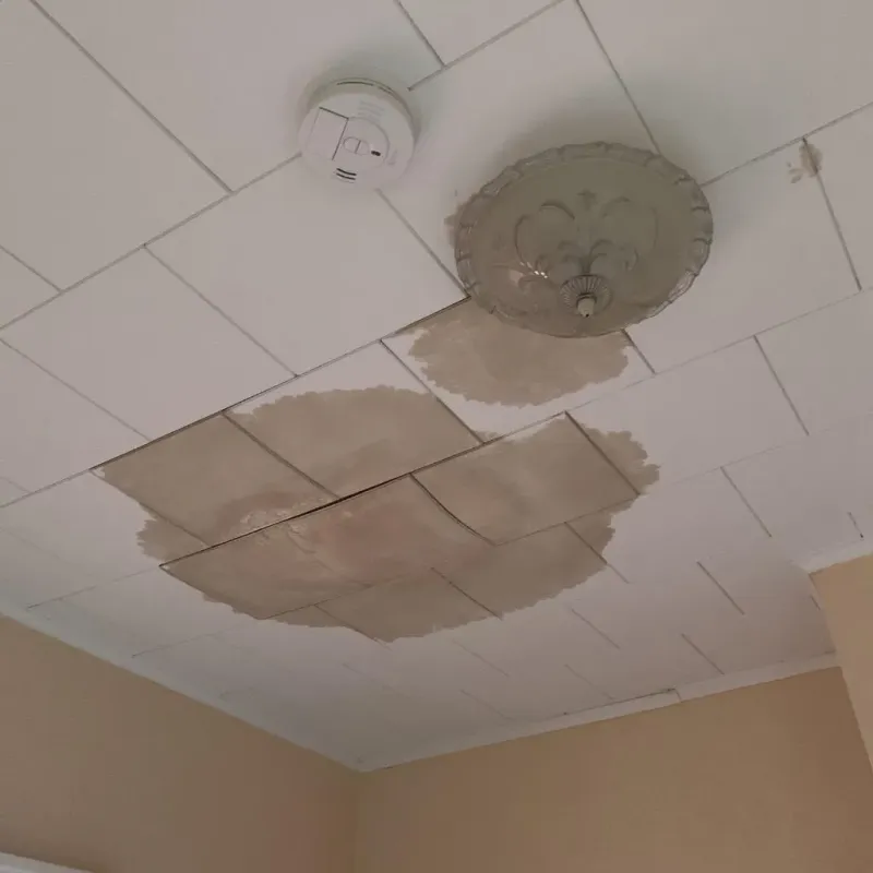 Ceiling Water Damage Repair in Gulivoire Park, IN