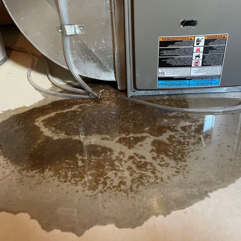 Pipe Burst and Leak Restoration in Gulivoire Park, IN